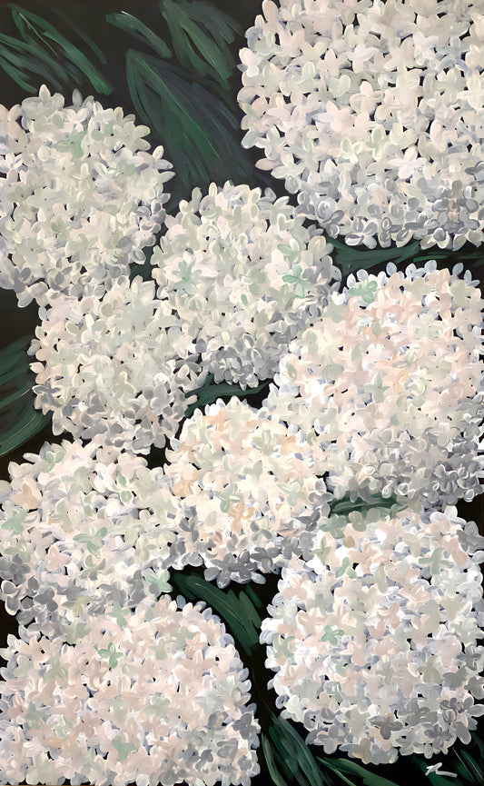 Hydrangea Burst